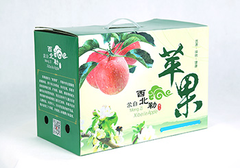 速邇紙制品包裝的種類和設(shè)計特點有哪些？